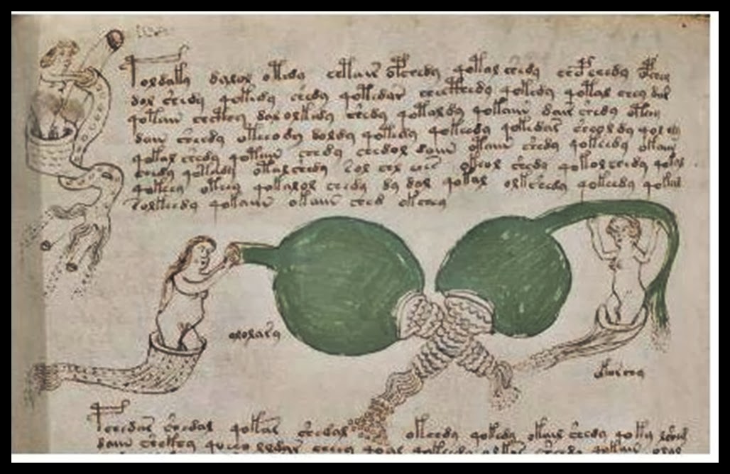 my solution to the Voynich Manuscript - a theory as to its meaning 164916-1