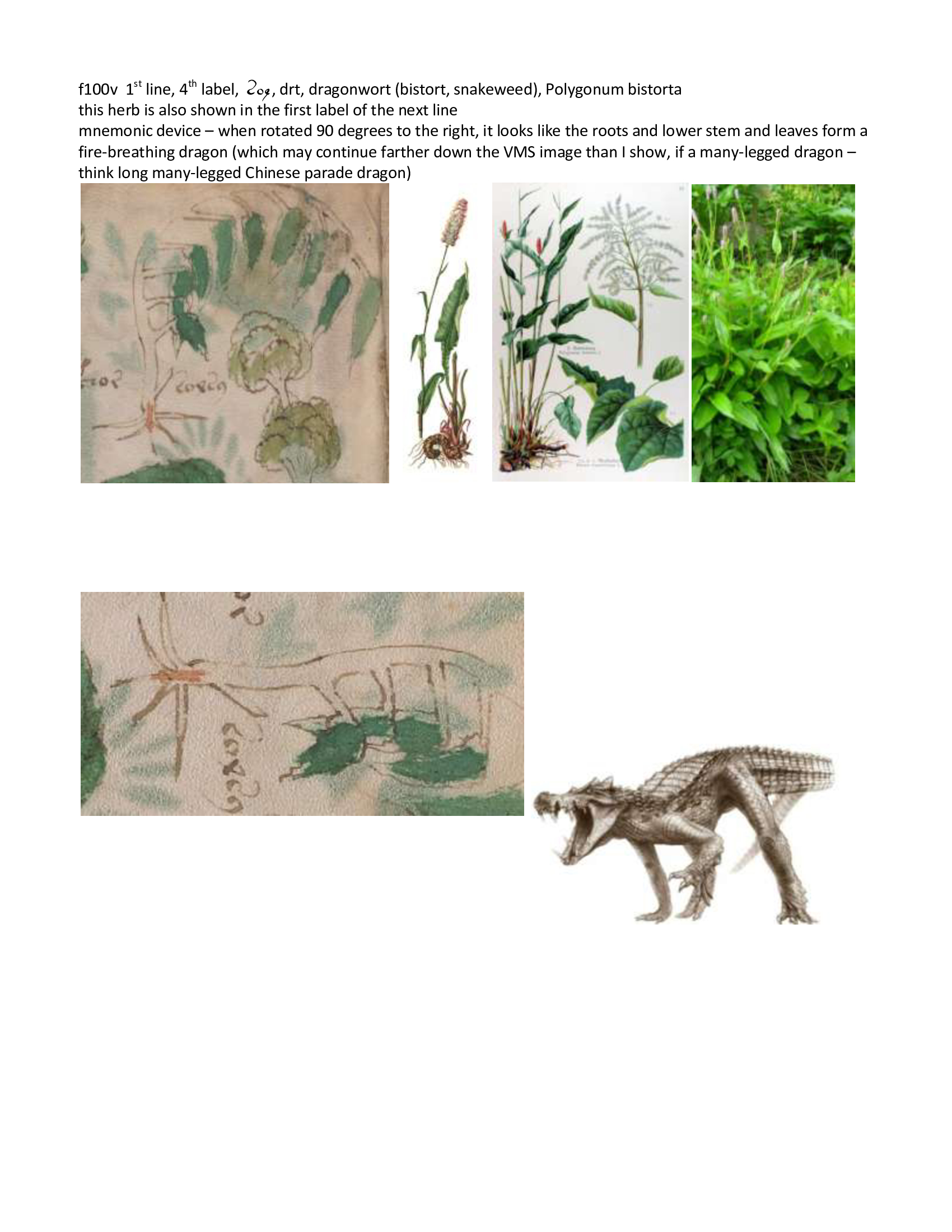 On Factors Distorting The Plant Images Of The Voynich Manuscript ...