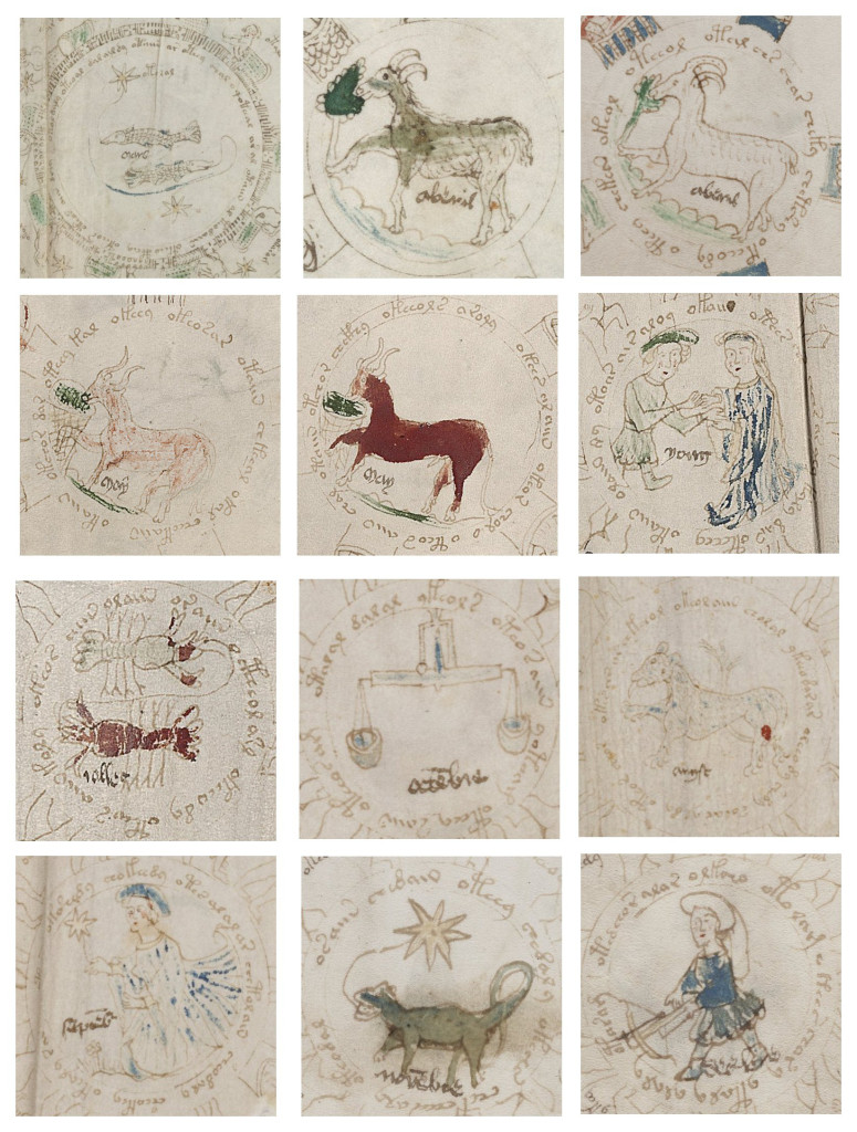 Composite of Voynich Zodiac images